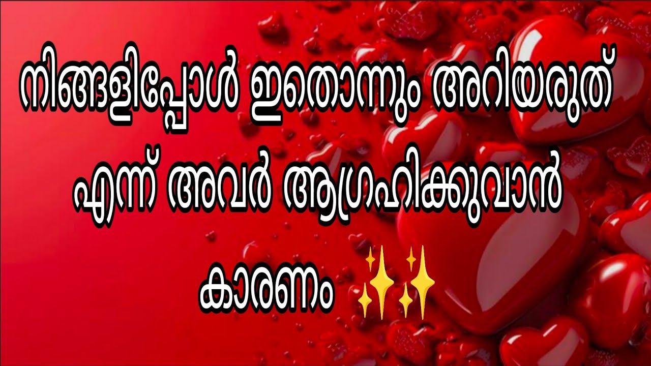നിങ്ങളിപ്പോൾ ഇതൊന്നും അറിയരുത് എന്ന് അവർ ആഗ്രഹിക്കുവാൻ കാരണം  ✨✨
