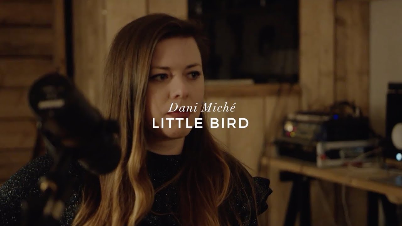 Dani Miché | Little Bird | Live in The Cabin