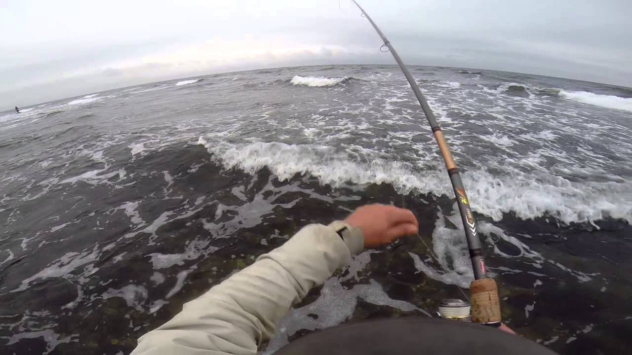 kustfiske havs&ouml;ring &ouml;land nov 2014