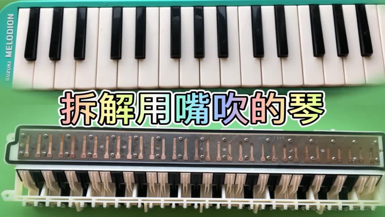 拆解孩子的口风琴 给你们看看构造和如何发声 请忽略我的演奏