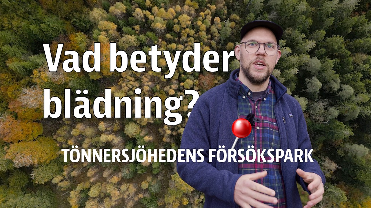 Hyggesfritt skogsbruk: Vad inneb&auml;r bl&auml;dning - egentligen?