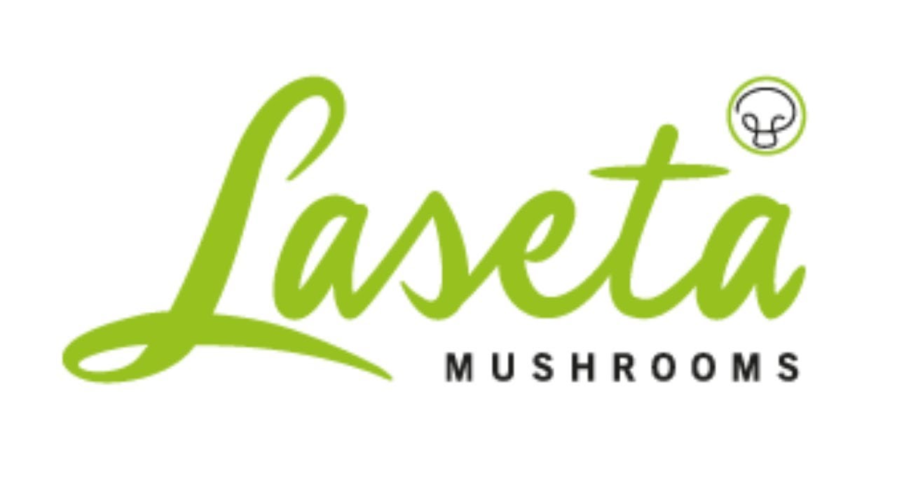 Laseta Mushrooms