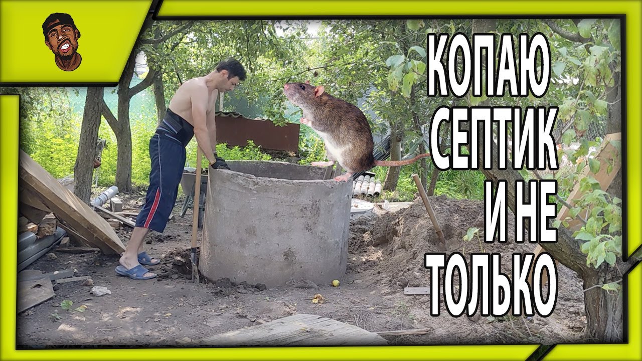 КОПАЮ СЕПТИК в ОДНУ ЛОПАТУ, ВЫКОРЧЕВЫВАЮ ПНИ, ПОКАЗЫВАЮ ПРОГРЕСС по УСАДЬБЕ, НАПОЖУ ПОРЯДКИ