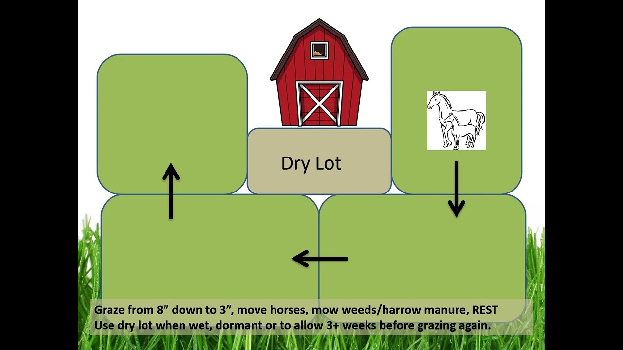 Horse Management 101