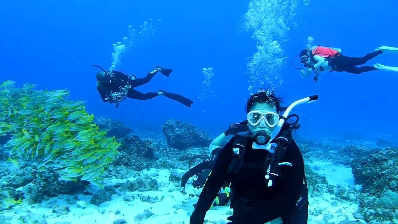 Dive @ Saligai Cove Rota Northern Marianas Island