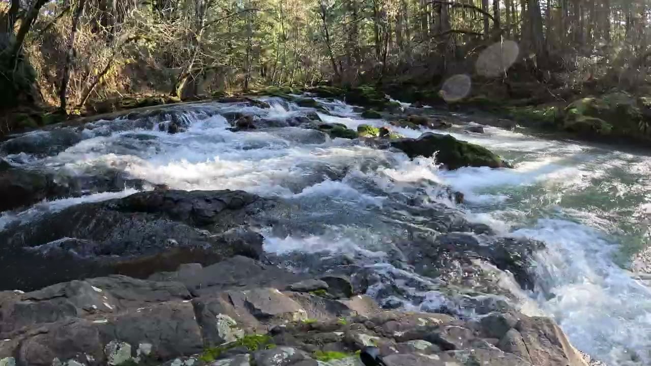 Relax Next To Flowing Waters Of Little River Oregon