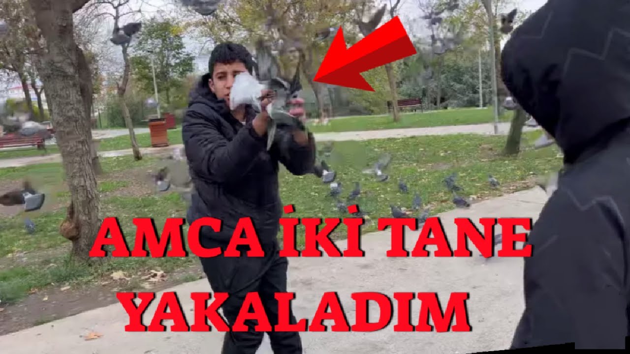 Kim Daha Çok Güvercin Yakalarsa Yarış Yaptık ( Emir Bir Darbede İki Tane Yakaladı )