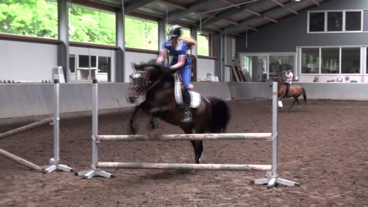 Manege Bleijenberg  Springles 11-05-2013