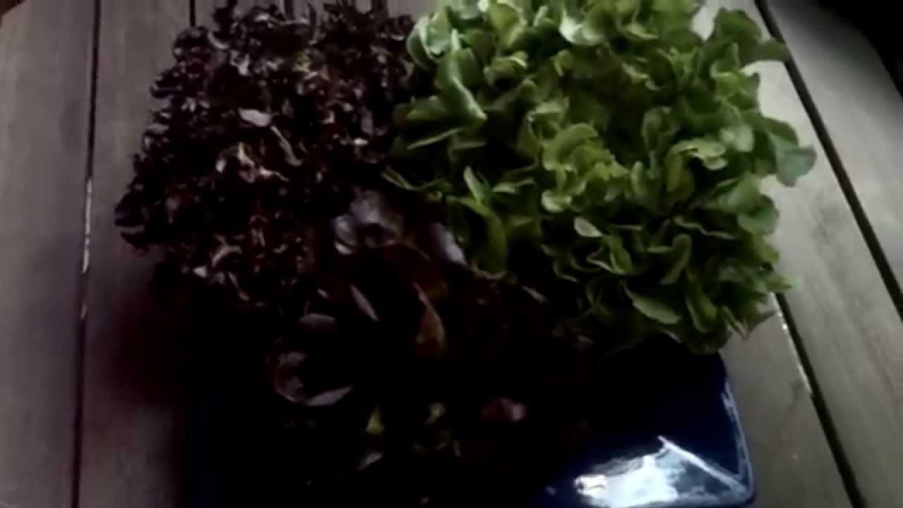 Cheap Organic Food  The Inside Secret