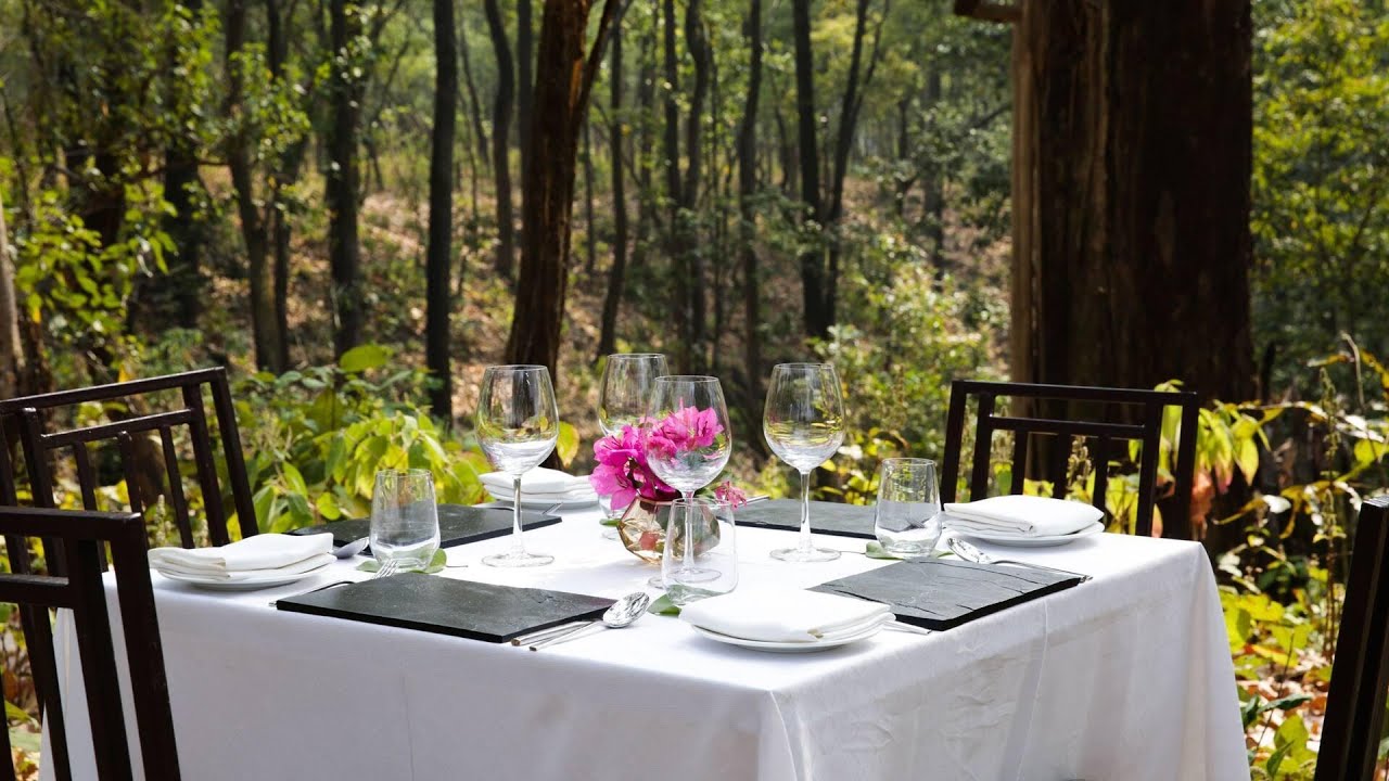 Saraca Resort & Spa Corbett, Salt, India | Travel With Anvika