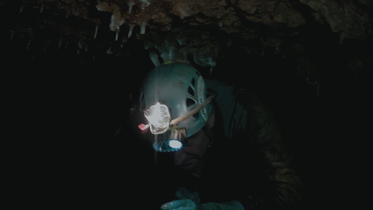 De l&rsquo;ombre &agrave; la lumi&egrave;re, la d&eacute;couverte de la grotte de Tourtoirac