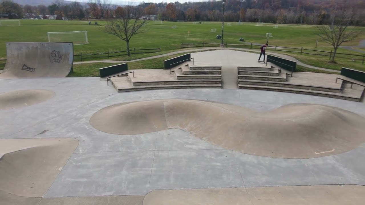 Skatbrdin
