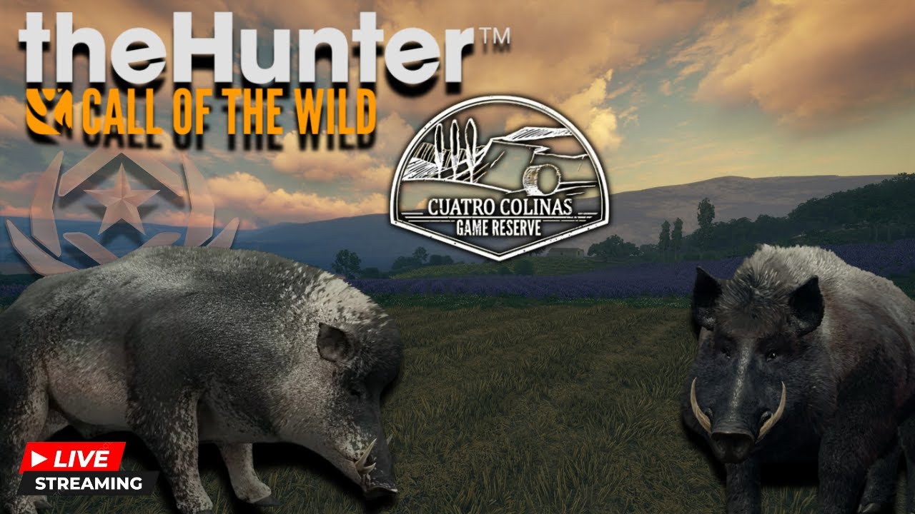 Hunting Wild Boar GO#6!! Cuatro Colinas!!
