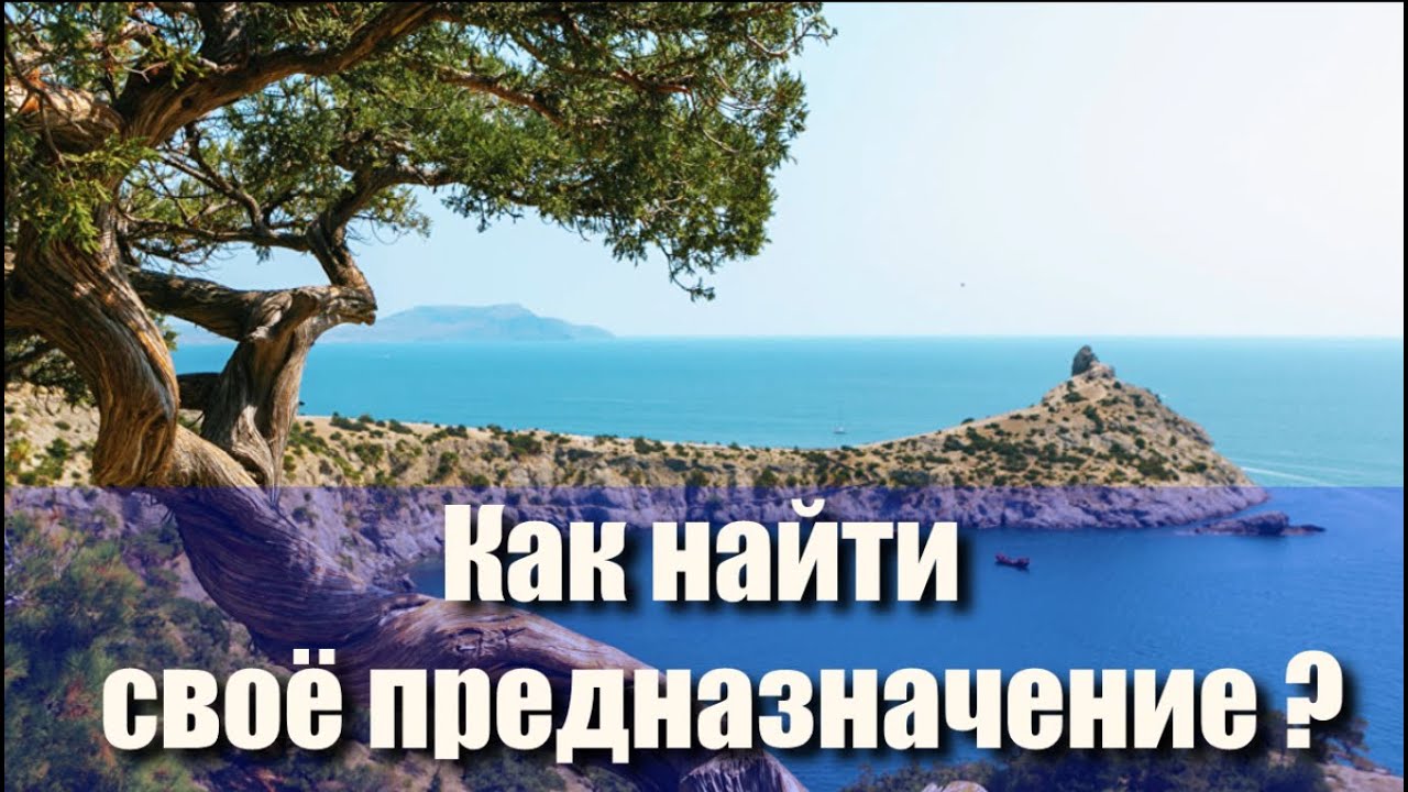 Как найти своё предназначение ? Алексей Куяшов