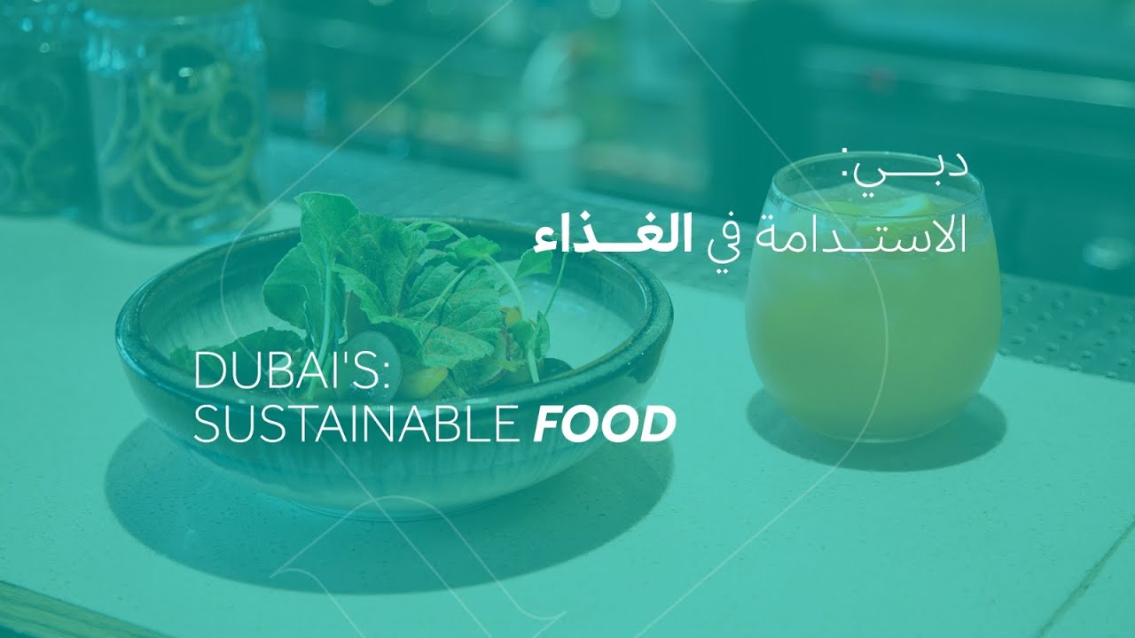 قصص دبي المستدامة | الحلقة 10 | Dubai's Sustainable Stories | Episode 10