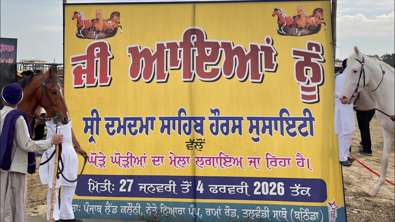 ਘੋੜੀਆਂ ਦਾ ਮੇਲਾ ਤਲਵੰਡੀ ਸਾਬੋ | ਖੇੜੀ ਆਲਾ ਬਾਬਾ ਤੇ ਪੰਜਾਬ ਸ਼ਿੰਗਾਰ 2026 #horseshow #talwandisabo  Video #5