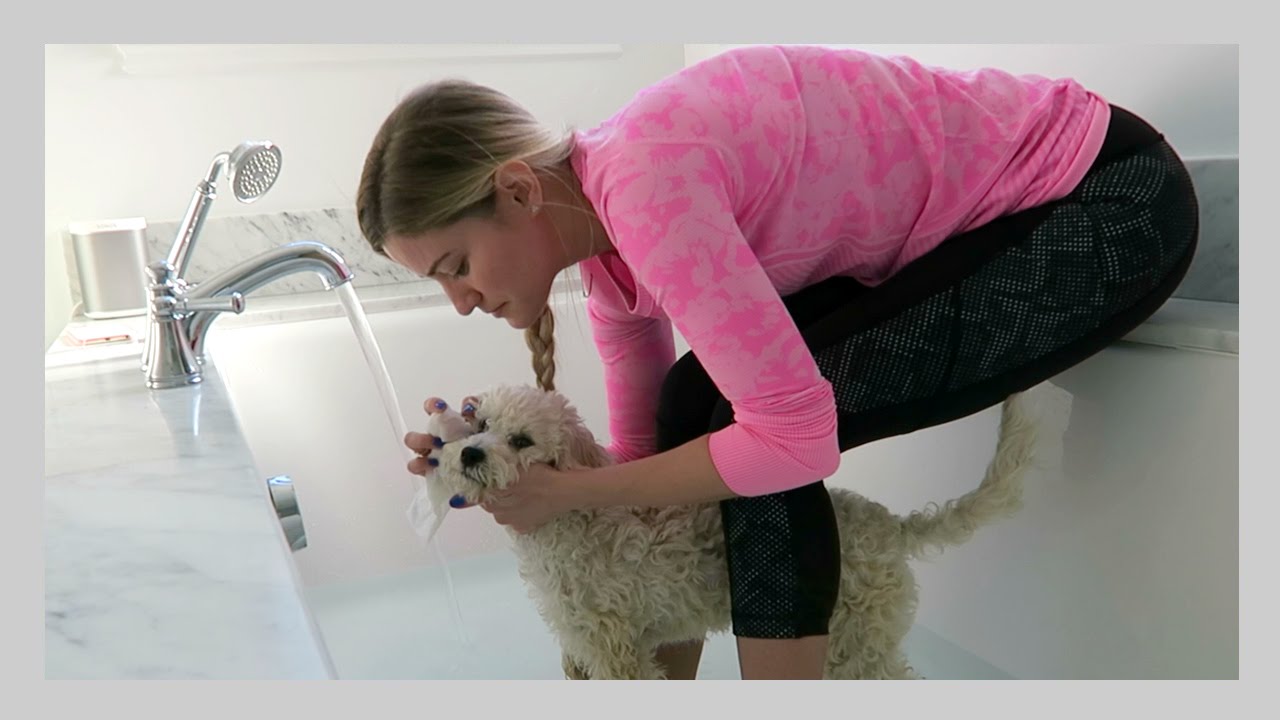 BATH WITH MY DOG! | iJustine