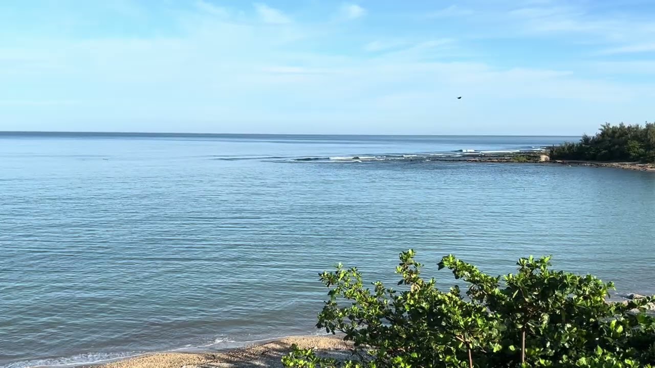 The most relaxing wave sounds from Kenting national park in Taiwan (1 hr)