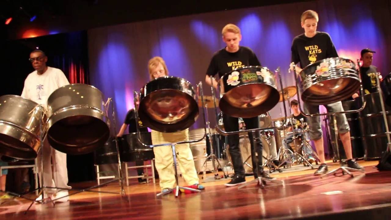 Wild Kats Kinder- und Jugendsteelband