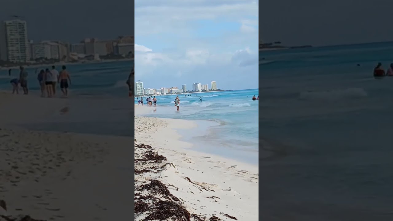 EN VIVO: playa marlin #cancun