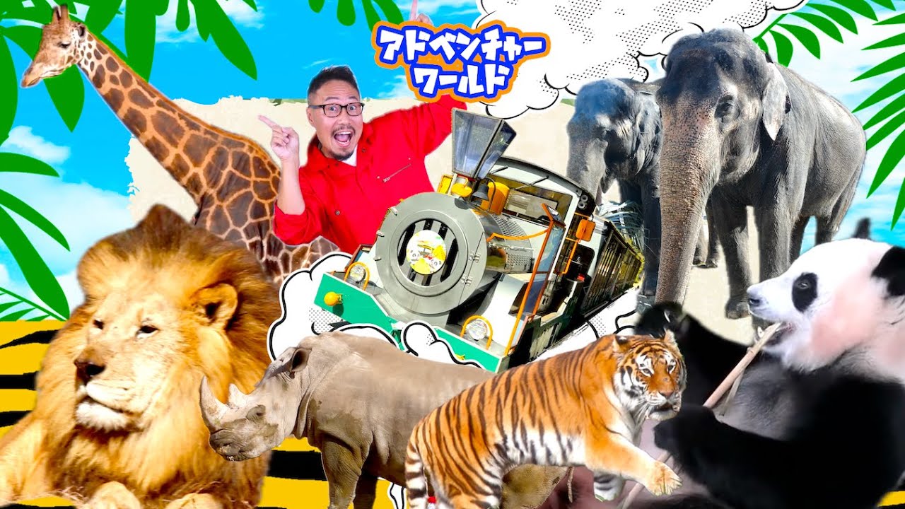 アドベンチャーワールド弾丸ツアー！1日でどれだけの動物にあえるかな？ヒゲパパ