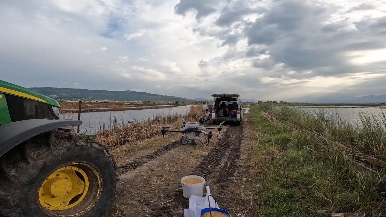 DJI AGRAS T40 DRONUMUZ İLE ÇELTİK ARAZİLERİMİZE TOHUM ATIYORUZ