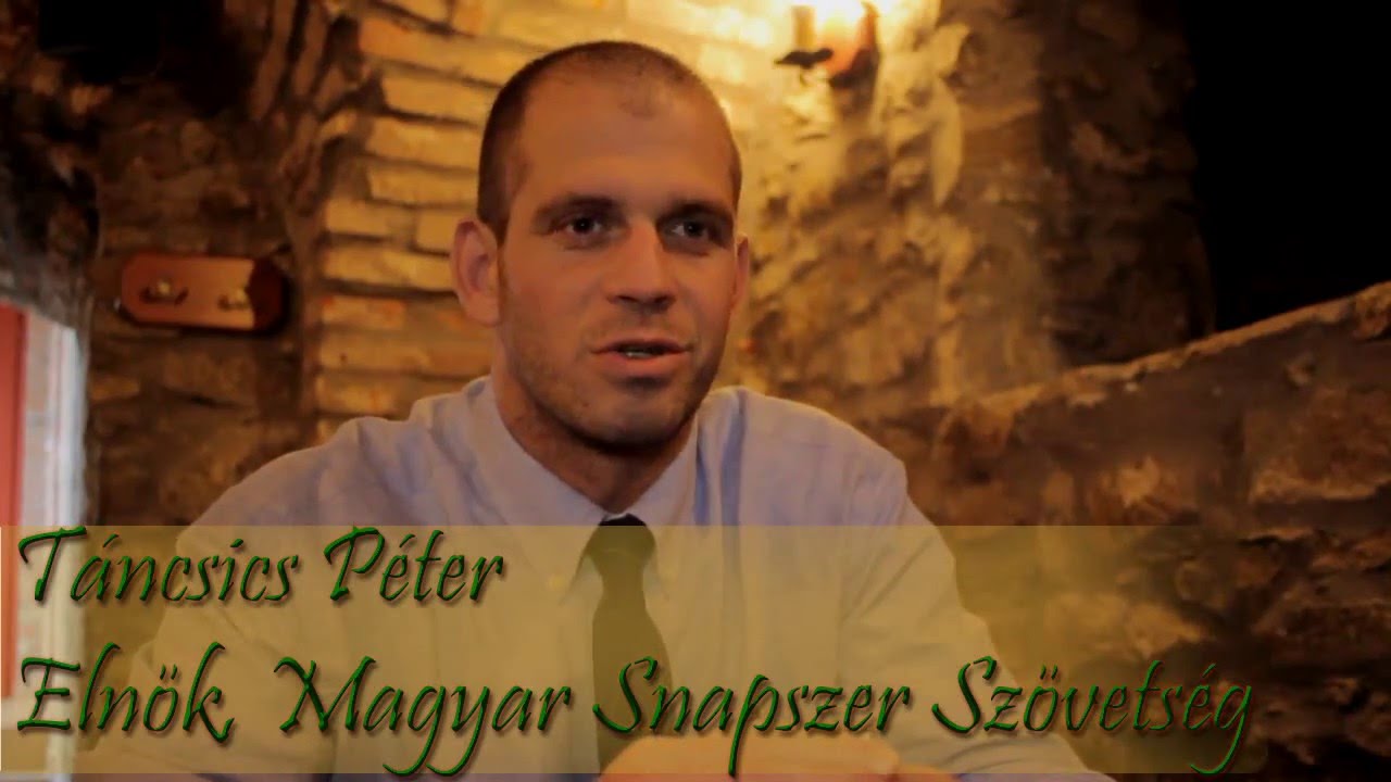 A snapszer