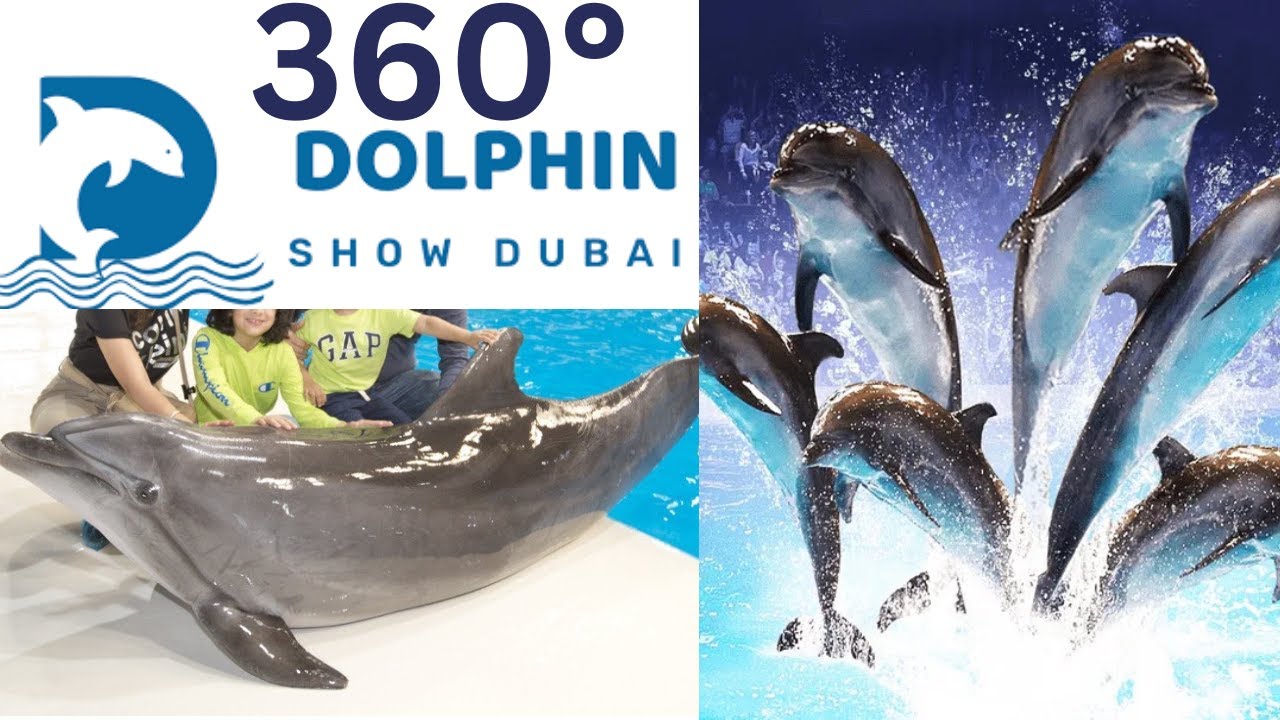 Dubai Dolphinarium Show 2025 in 360° | 8K