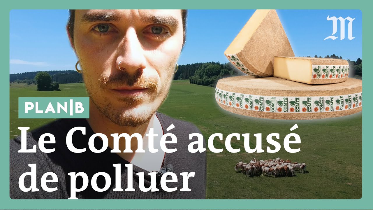 Comté : pourquoi ce fromage est accusé de polluer les prairies et rivières de Franche-Comté