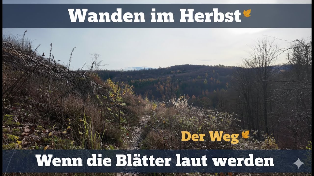 𝐖𝐞𝐧𝐧 𝐝𝐢𝐞 𝐖𝐞𝐠𝐞 𝐬𝐜𝐡𝐦𝐚𝐥 𝐮𝐧𝐝 𝐝𝐢𝐞 𝐁𝐥ä𝐭𝐭𝐞𝐫 𝐥𝐚𝐮𝐭 𝐰𝐞𝐫𝐝𝐞𝐧 - 𝐖𝐚𝐧𝐝𝐞𝐫𝐧 𝐢𝐦 𝐇𝐞𝐫𝐛𝐬𝐭