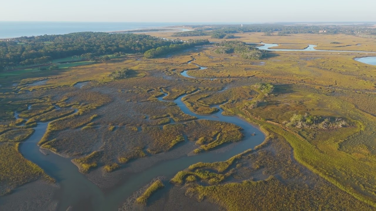 What is the salt marsh?