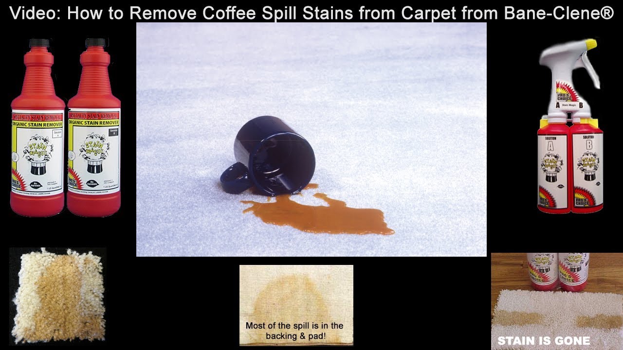 How to Remove Coffee Stains from Carpet with the Water Claw and Stain Magic by Bane-Clene's Chemist.
