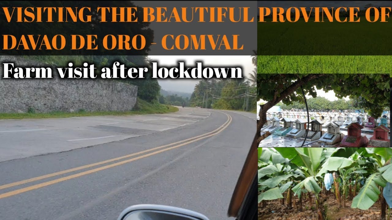FARM VISIT AFTER LOCKDOWN | OFW REST HOUSE | Part 1