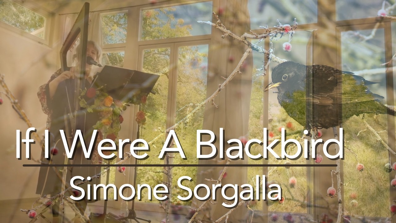 If I Were a Blackbird - Harp and Voice - (Electric Harp, Salvi Delta)