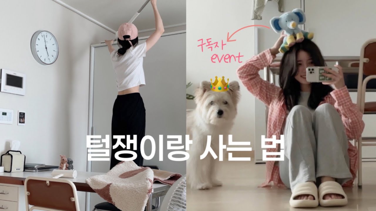 청소 루틴 브이로그🧺 대청소 싫어하는 사람이 털빠짐 심한 이중모 강아지랑 살며 깨끗한 집을 유지하는 법과 소소한 일상 (바잇미 깜짝 구독자 이벤트🐘)