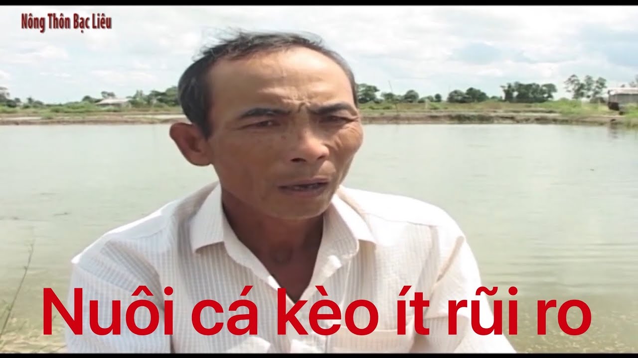 Kỹ thuật nuôi cá kèo