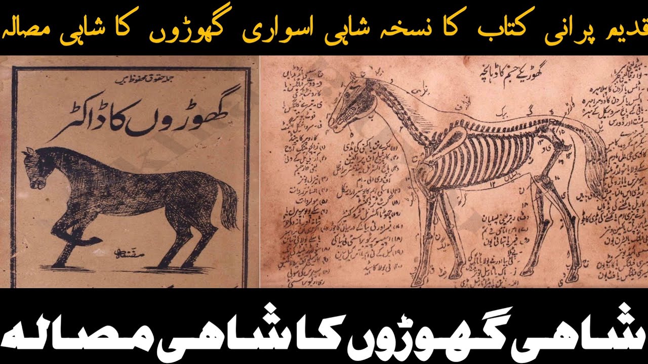 Ghodon ka Shahi masala|| ghodon ka nuskha||Best spice and treatment for horse||گھوڑوں کا شاہی مصالہ