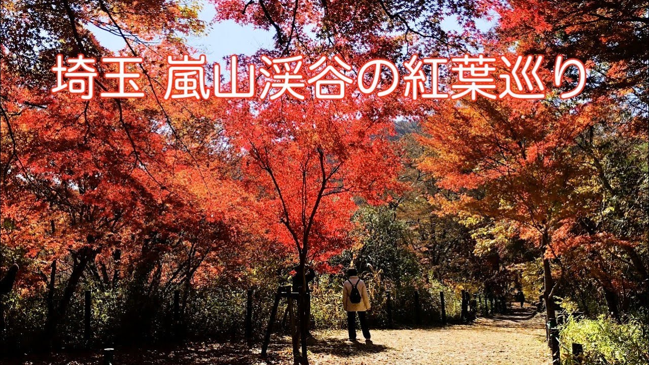 嵐山渓谷紅葉巡り　飛石、沈下橋を渡り槻川原、展望台辺りへ　2025.11.26