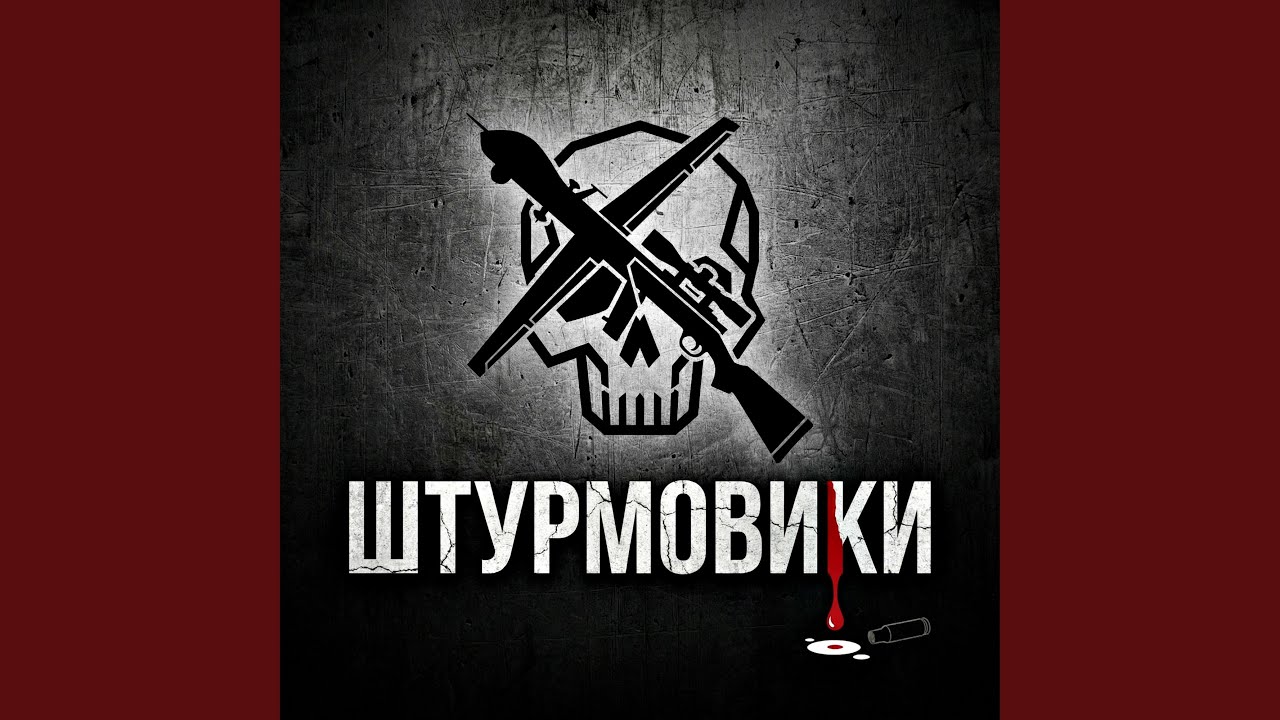 Штурмовики