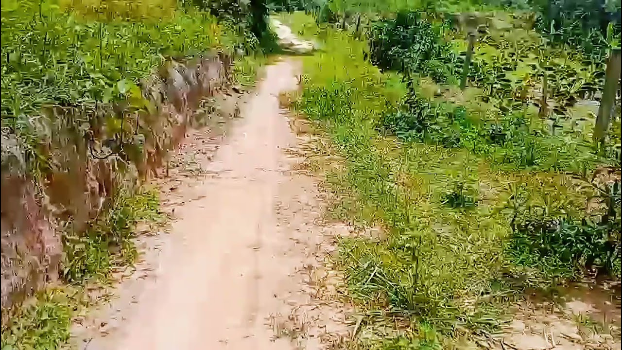 Recomeçar após os 40 não é sobre começar do zero. Eu só encontrei PAZ quando parei de fugir de mim.