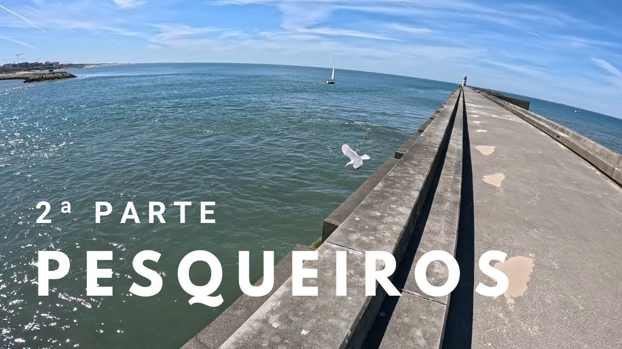 Pesqueiros in Rio Douro no Porto – Parte 2: Com algumas questões à Proteção Civil!