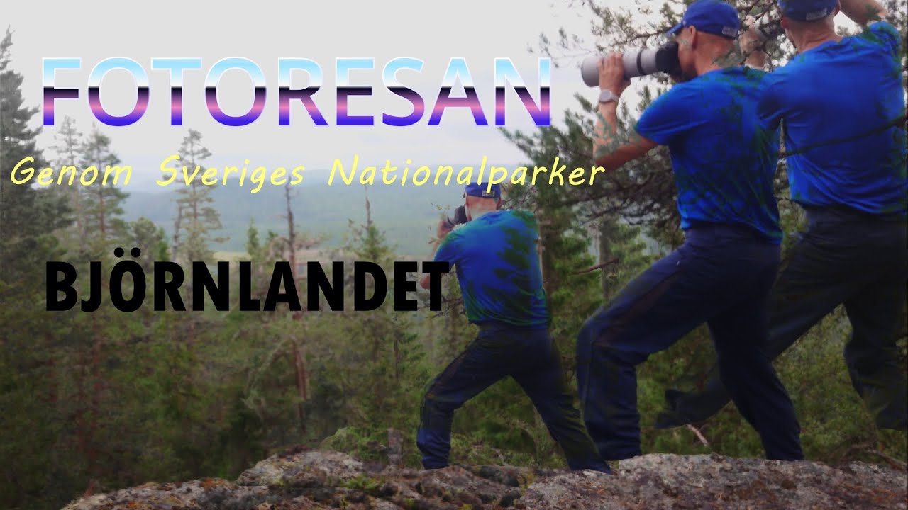 Foto i Björnlandet nationalpark