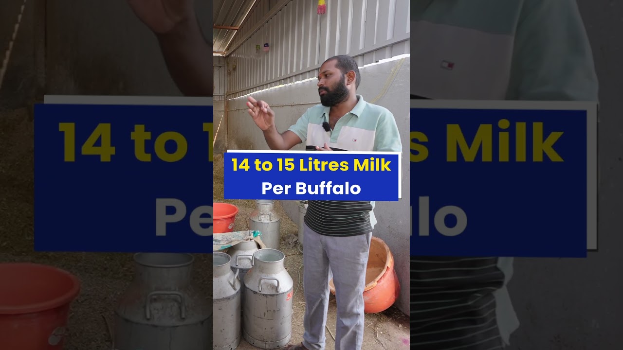 एक महीने की कमाई 22,00,000 रु😱💰करोड़ों कमाने वाला Dairy farm💯🔥 #indianfarmer #shorts
