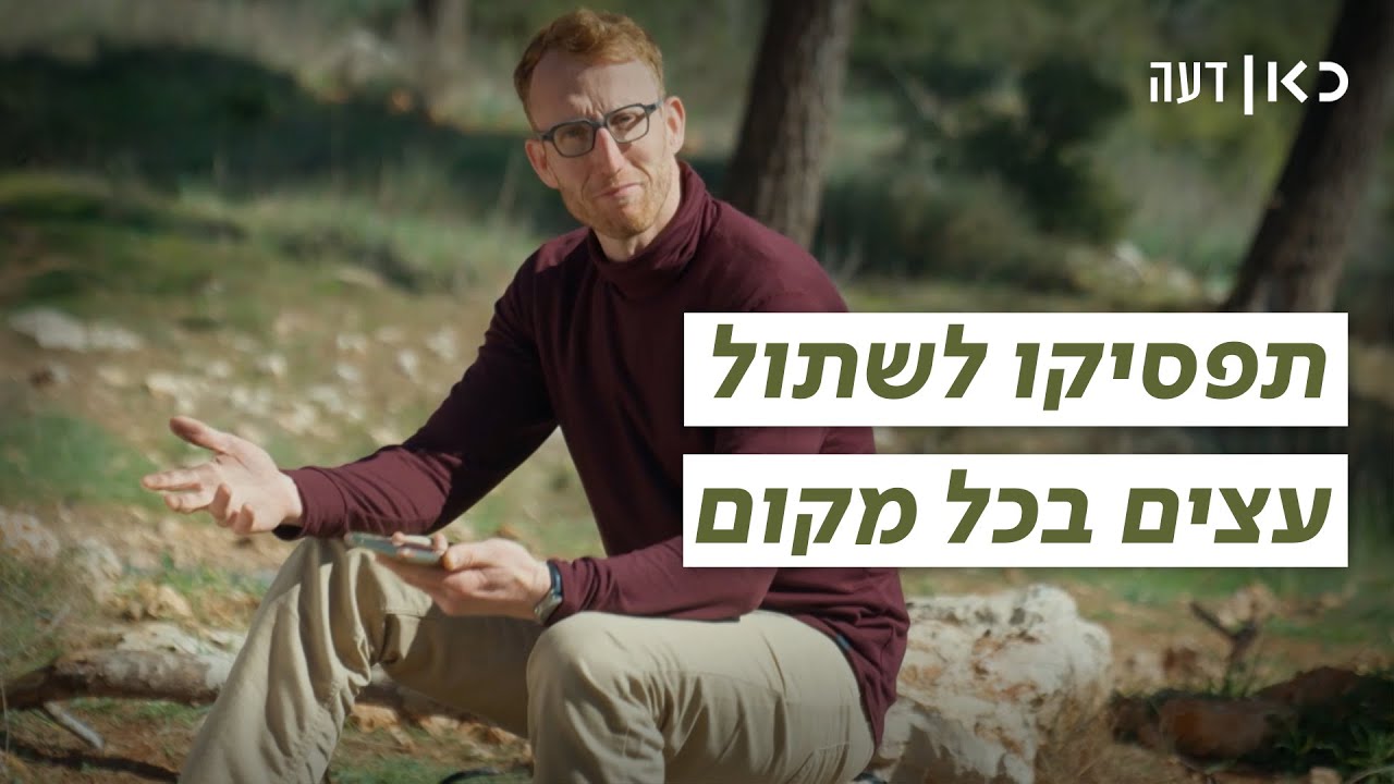 אלון חושף מידע שישתול אותנו: לא תמיד טוב לנטוע עצים