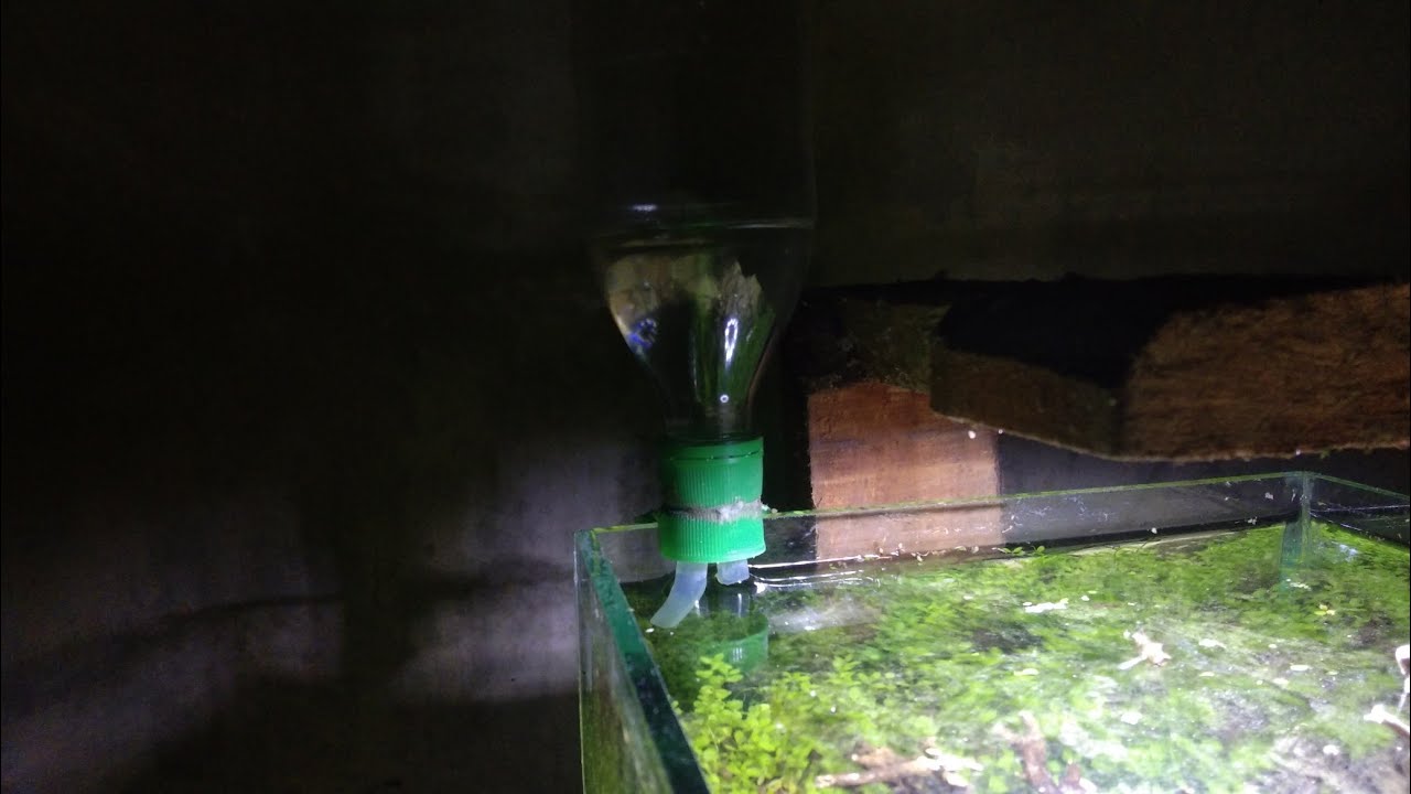 DIY Automatic Aquarium Water Refill..diy tool aquascape