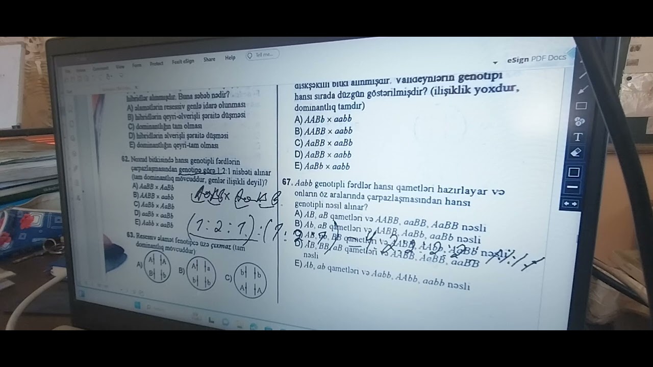 Genetika sual izahı Dim test bankı/ izah 2