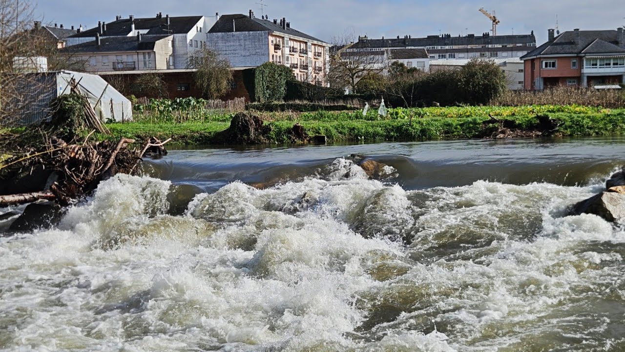 🌊Gushing Sarria River 31.1.2026 Río Sarria Desatado