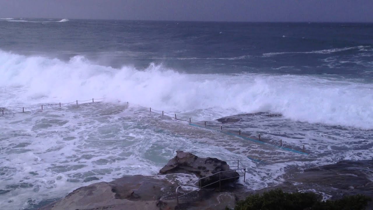 Checking out the huge surf Dee Why point August 2014
