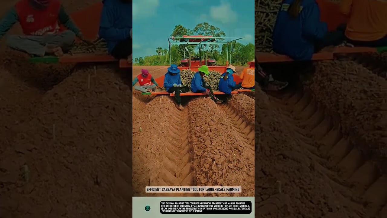 Efficient Cassava Planting tool for Large Scale Farming #tools