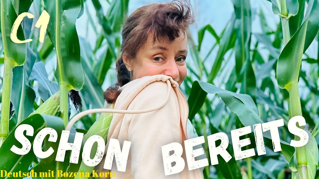 🇩🇪 schon VS bereits